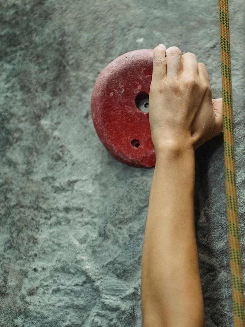 Mano y muñeca en actividad física: agarre durante la escalada
